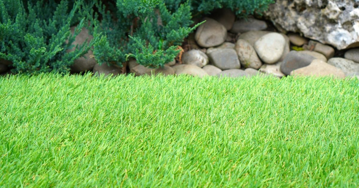 Artificial Grass Cleaning Specialists