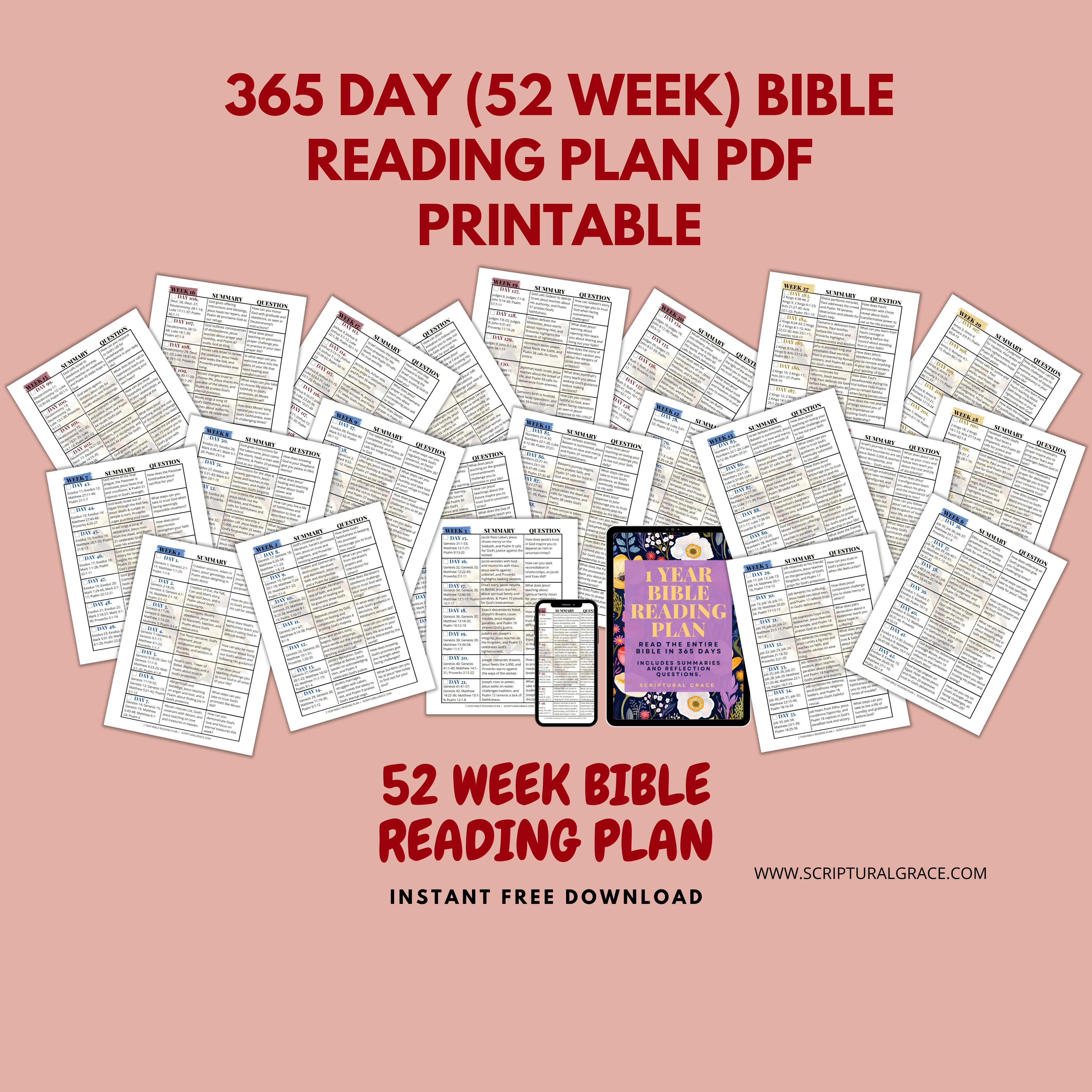 365 Day Bible Reading Plan PDF (Summaries & Reflection Questions) - Payhip