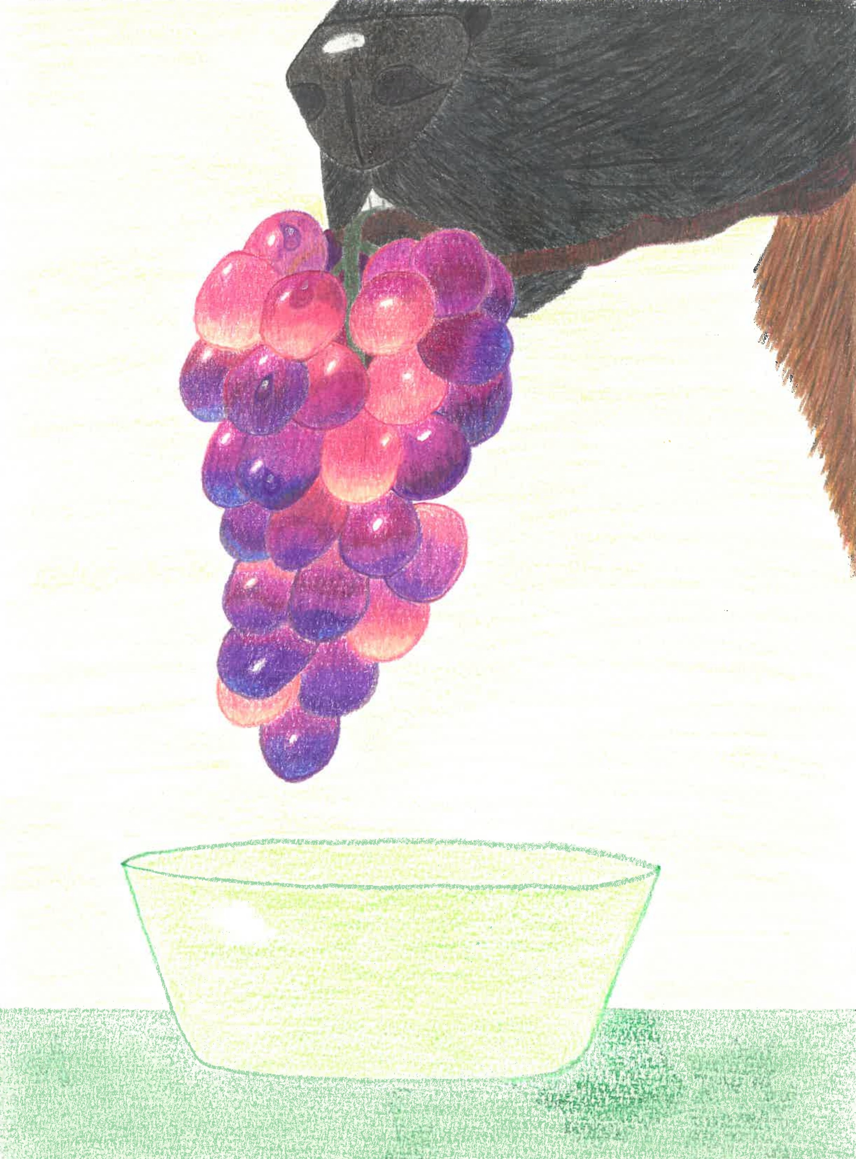 Dog nose & grape - Digital Artwork (PNG) - Payhip