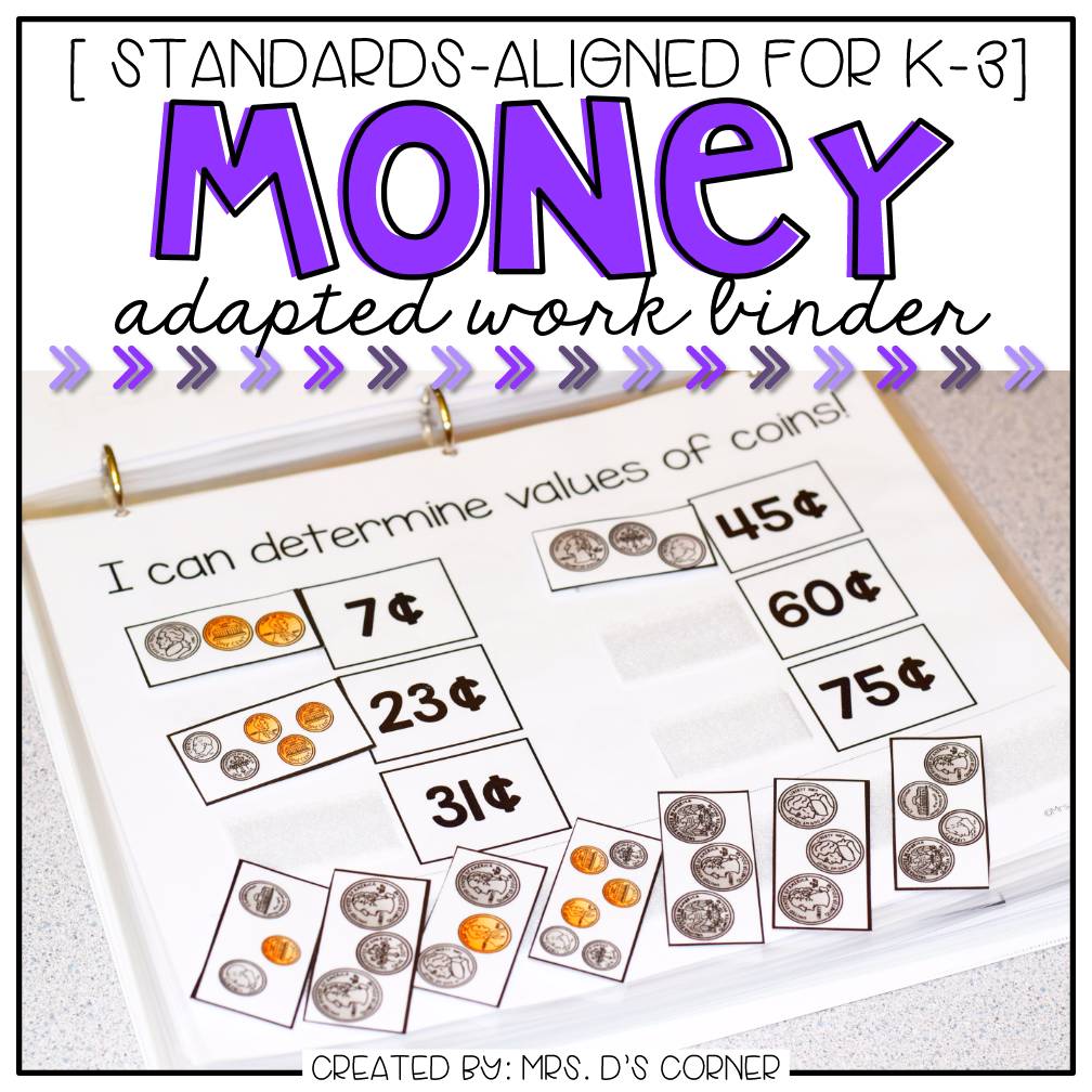 Money Adapted Work Binder®
