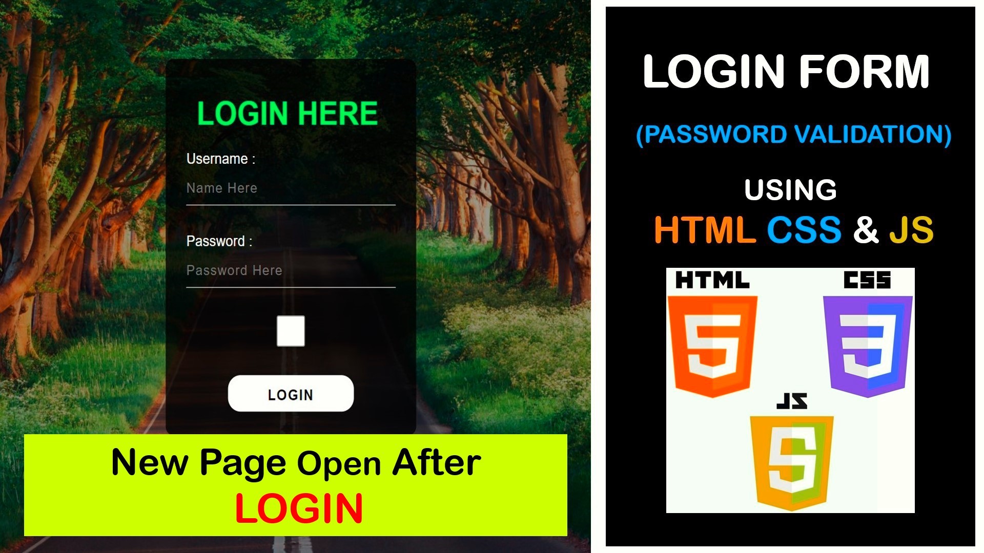 LOGIN FORM VALIDATION Using HTML, CSS & JS - Payhip