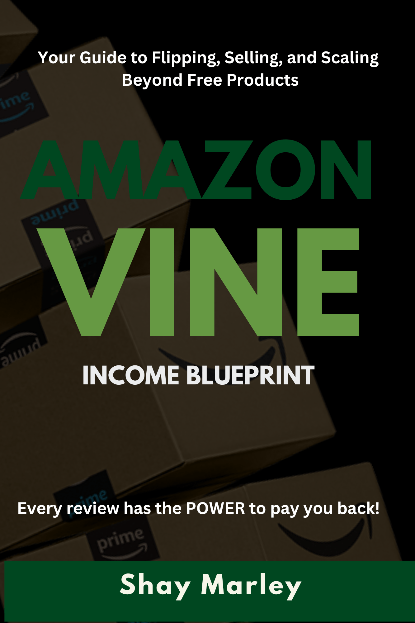 Amazon Vine Income Blueprint Payhip amazon-vine-income-blueprint-payhip