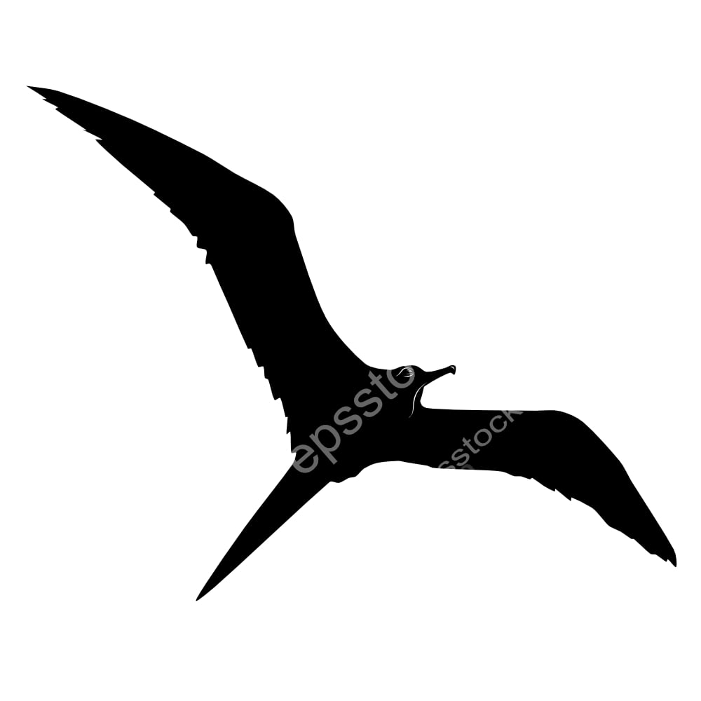 Frigatebird symbol