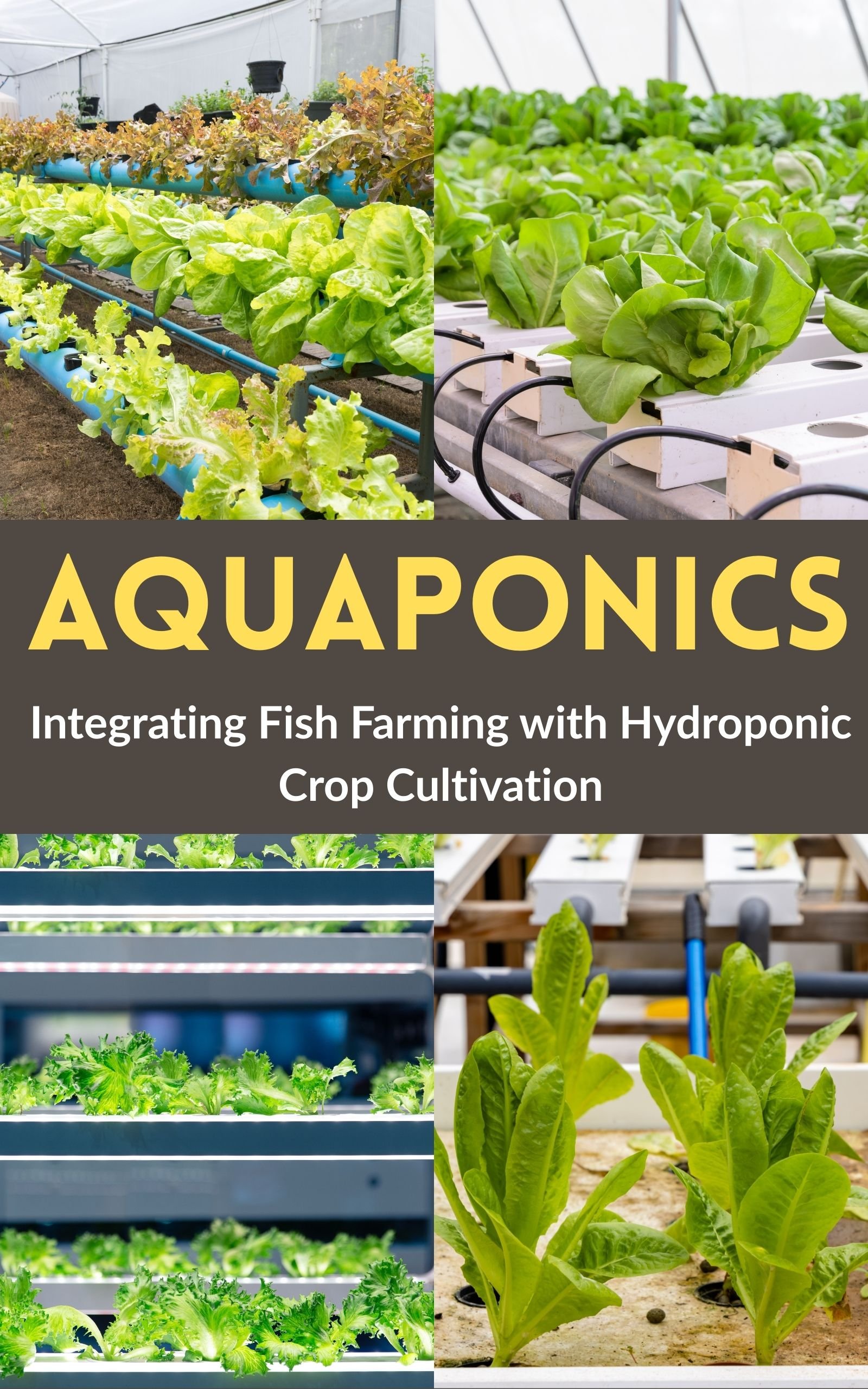 19+ What Are Hydroponic Plants Aquaponics : Integrating Fish Farming with Hydroponic Crop Cultivation