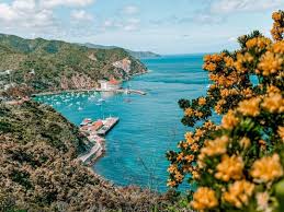 Recorriendo La Isla Catalina