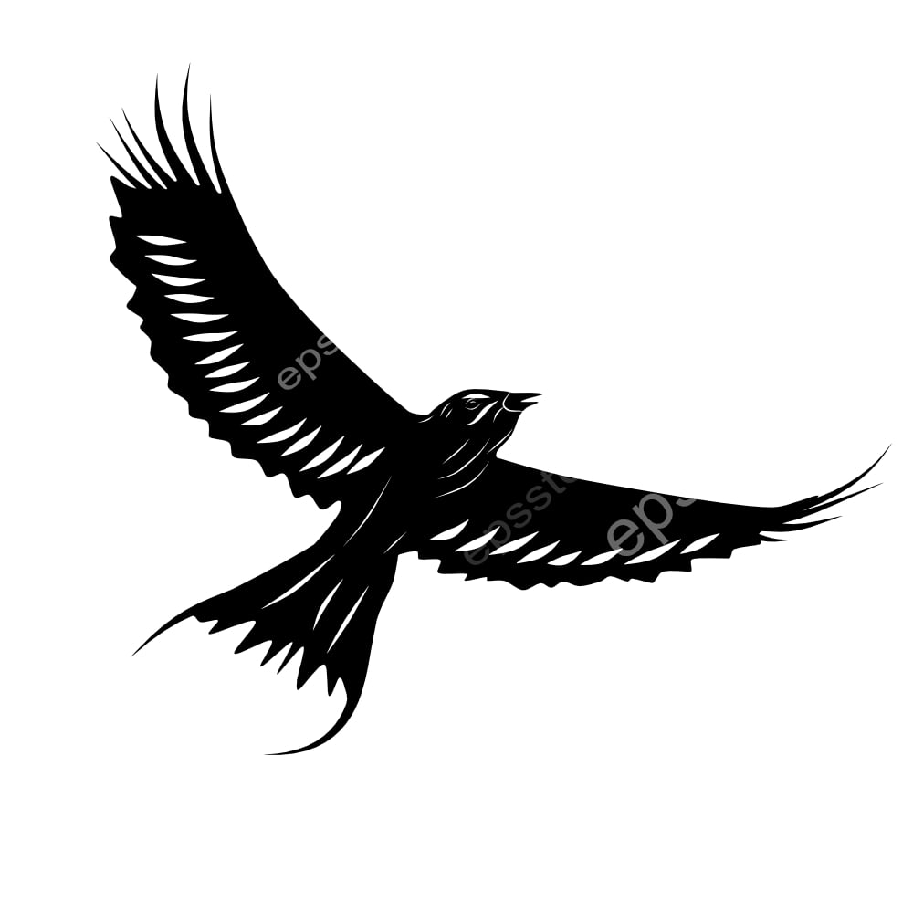 Lilac-breasted Roller bird