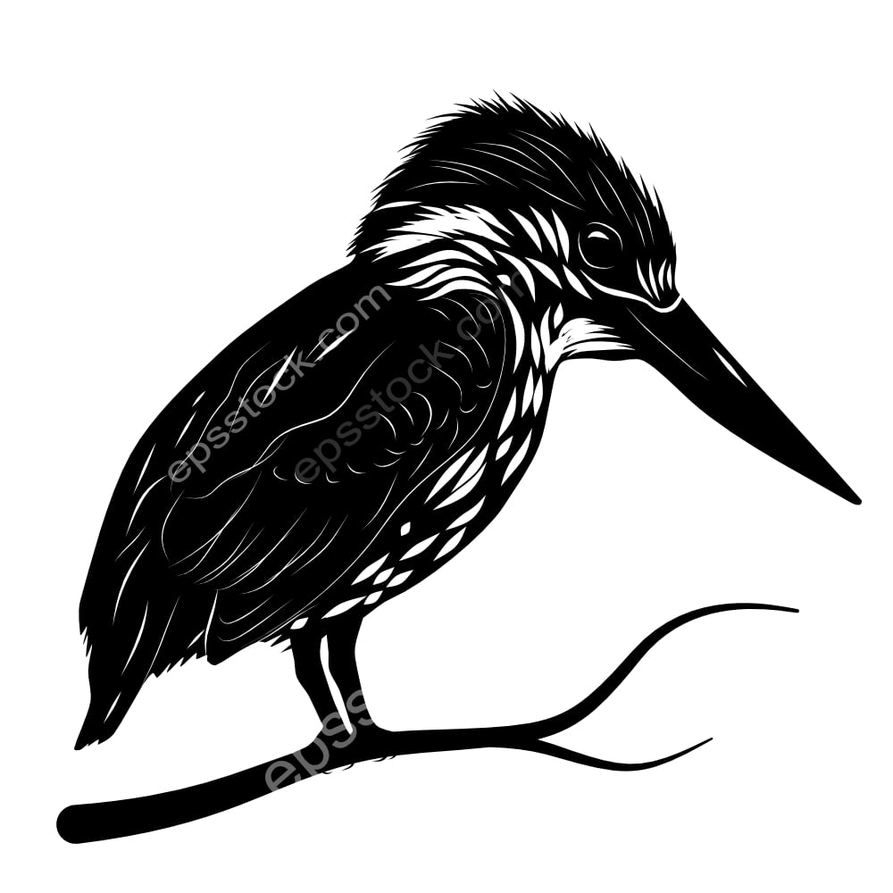 Dwarf Kingfisher bird