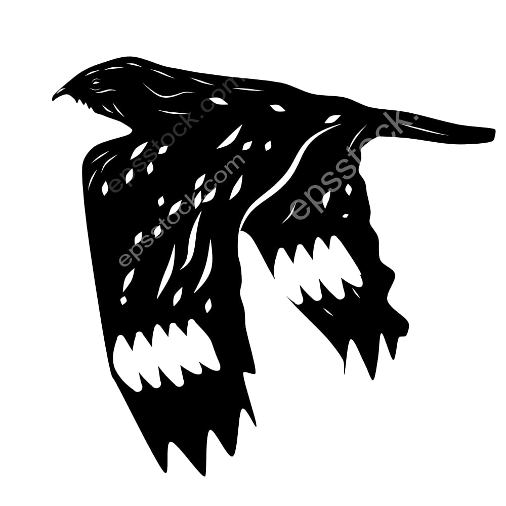 Chirruping Nightjar bird