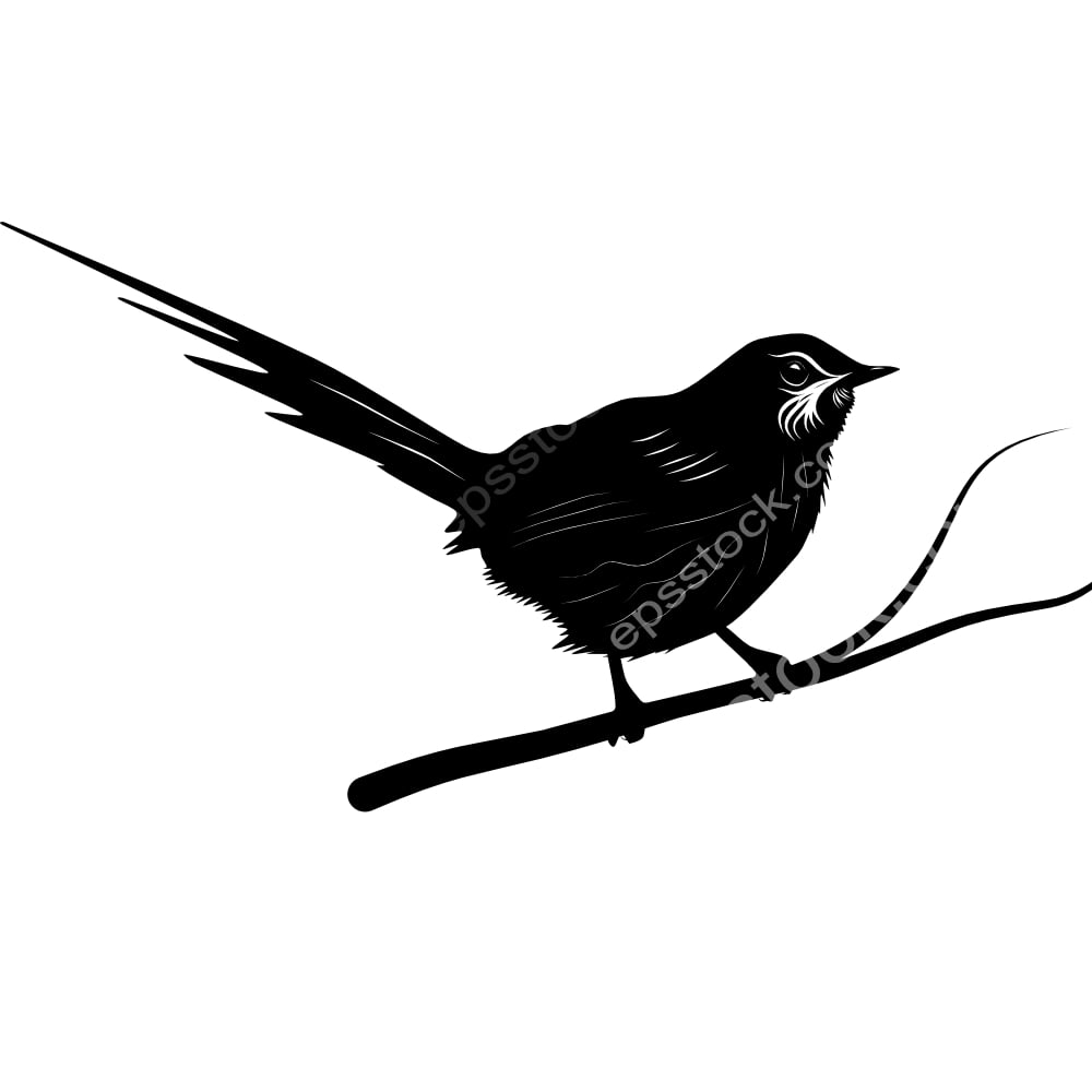 Chotoy Spinetail bird