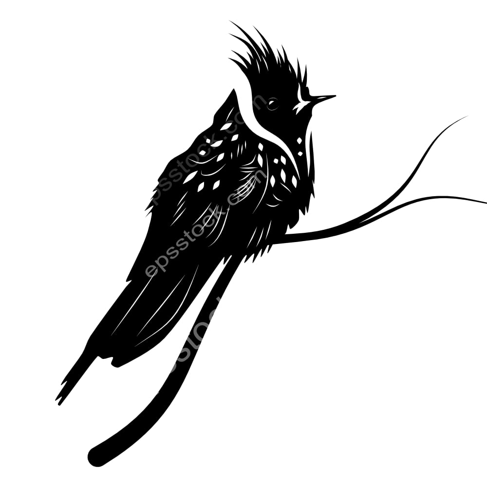 Buffy Helmetcrest bird