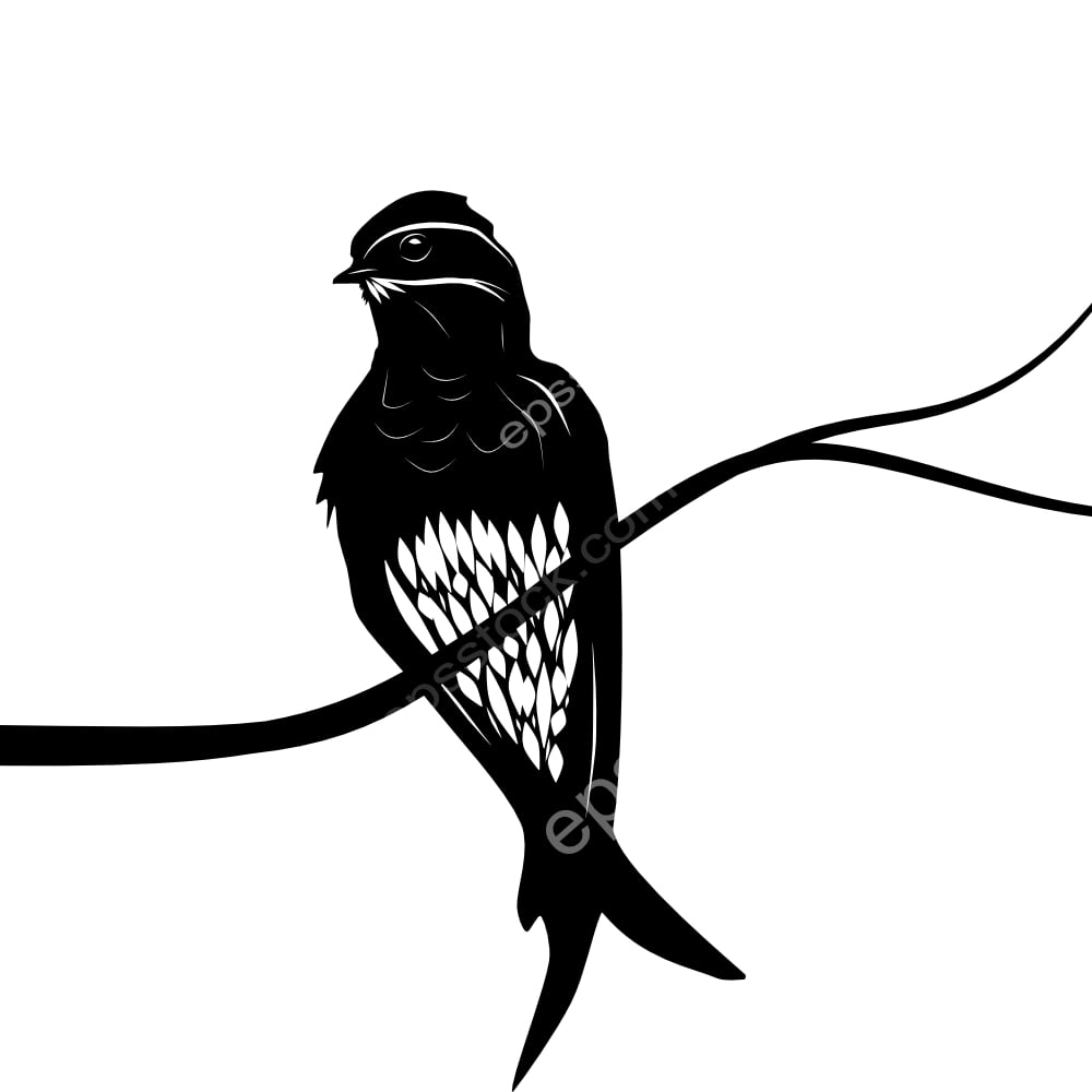 Whiskered Treeswift bird