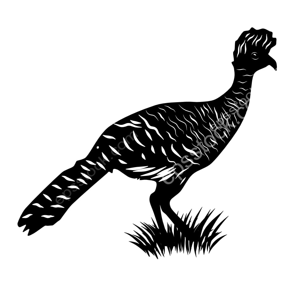 Great Curassow bird