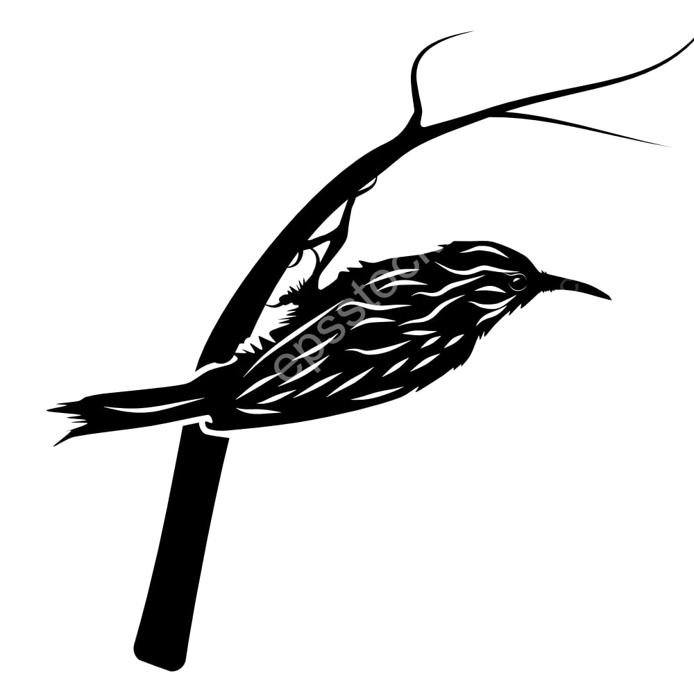 Short-toed Treecreeper bird