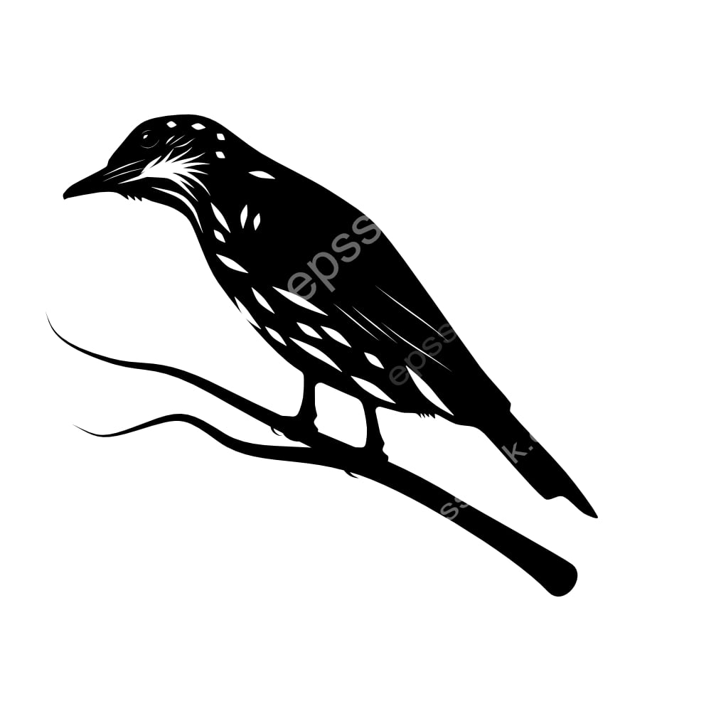 Visayan Rhabdornis bird