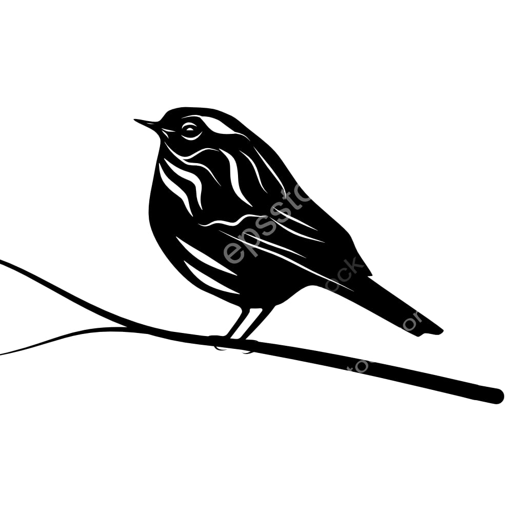 Rufous-breasted Accentor bird