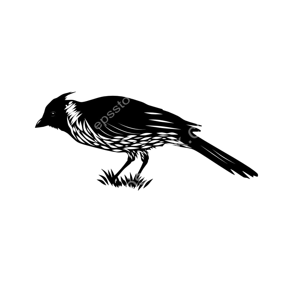 Red-crested Cardinal bird