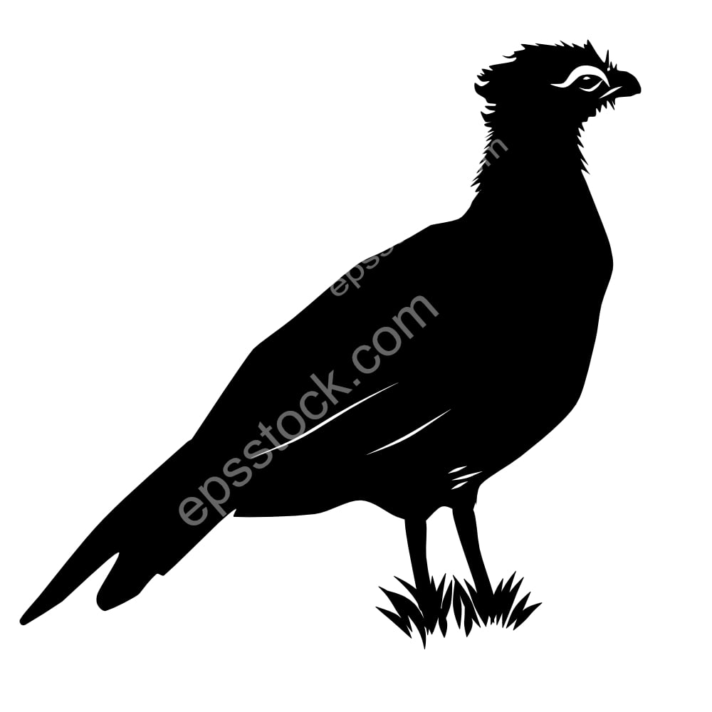 Nocturnal Curassow bird