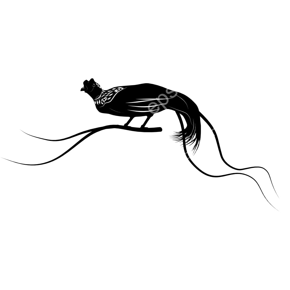 Red Bird-of-Paradise