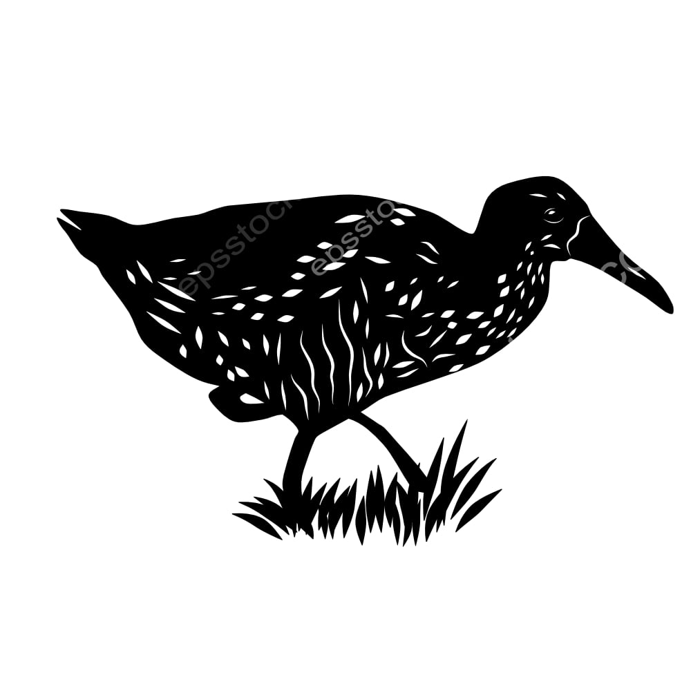 Speckled Rail bird
