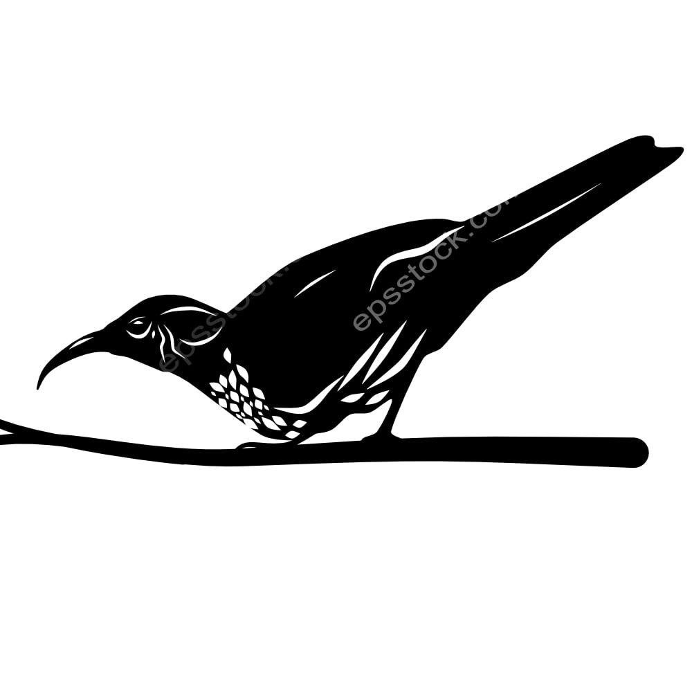 Subdesert Mesite bird