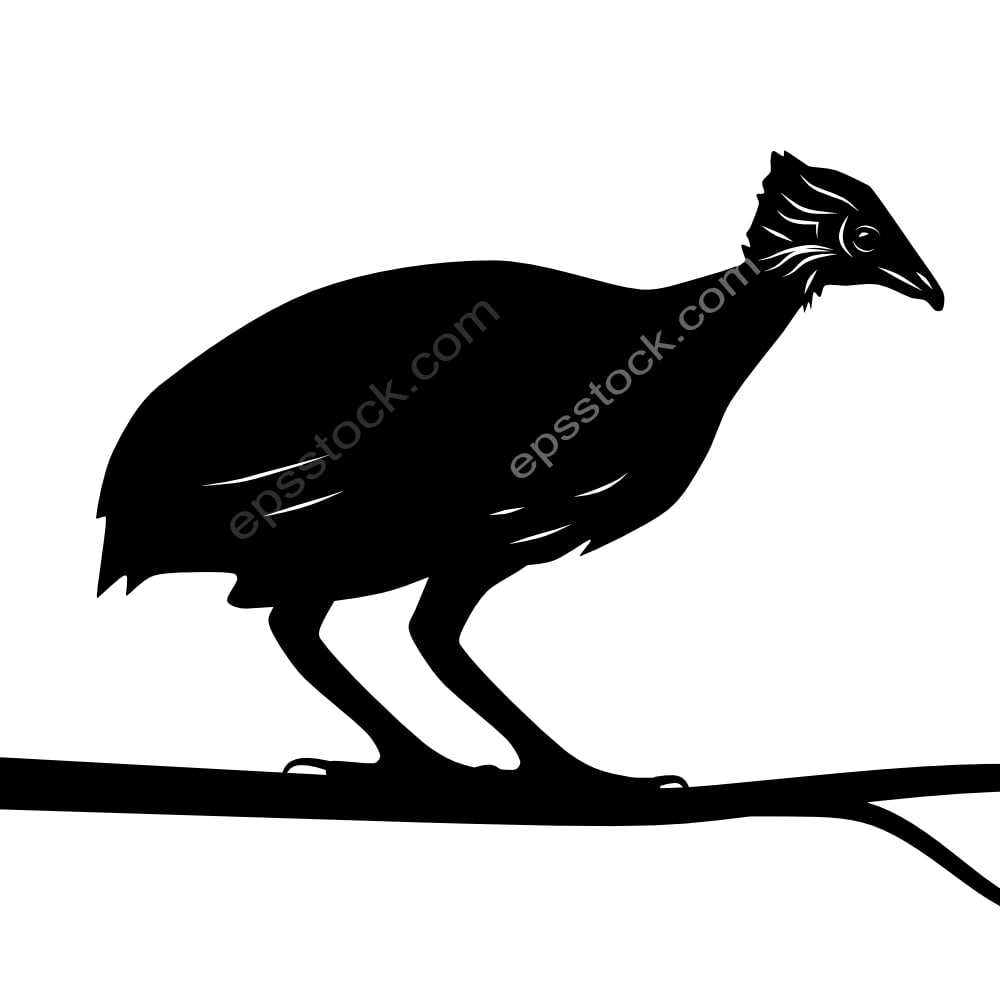 Micronesian Megapode bird