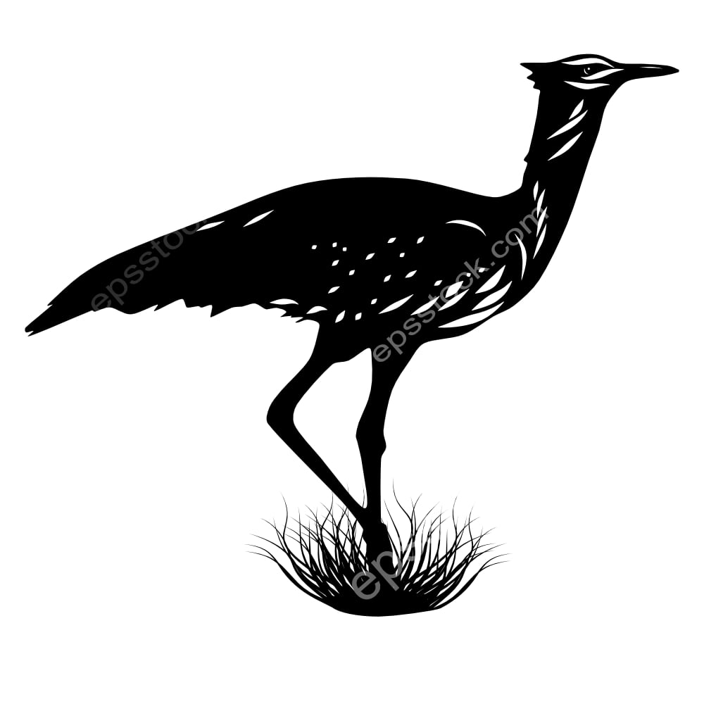 Arabian Bustard bird