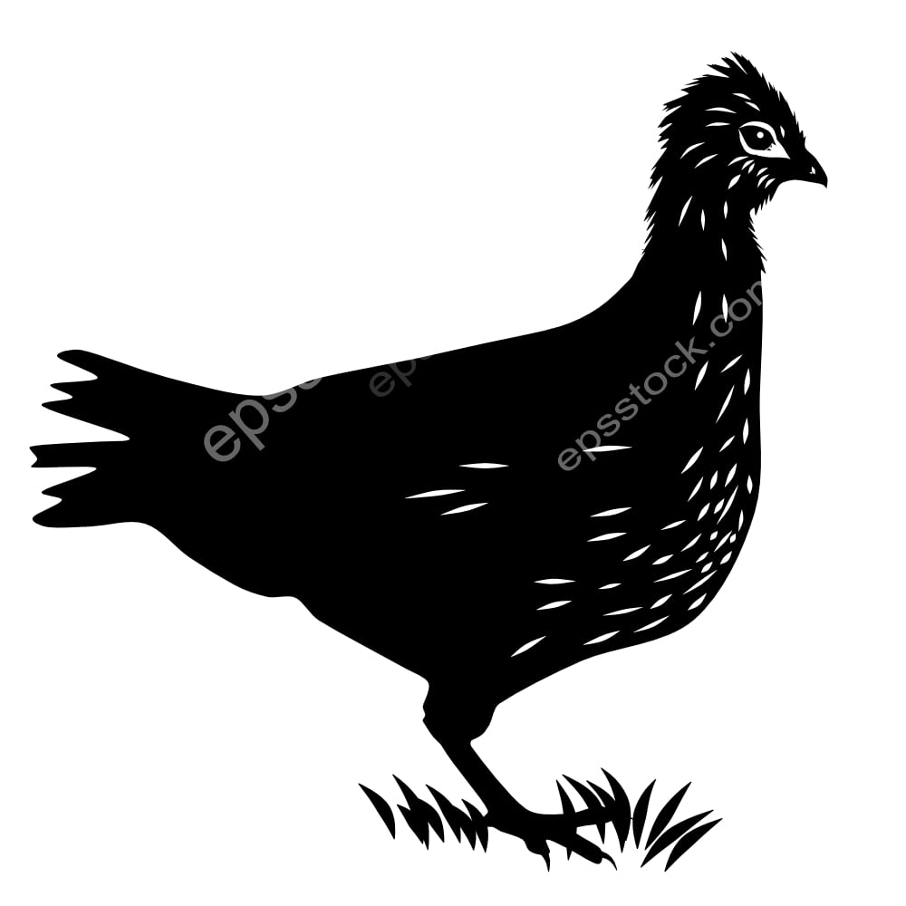 Nahans Partridge bird