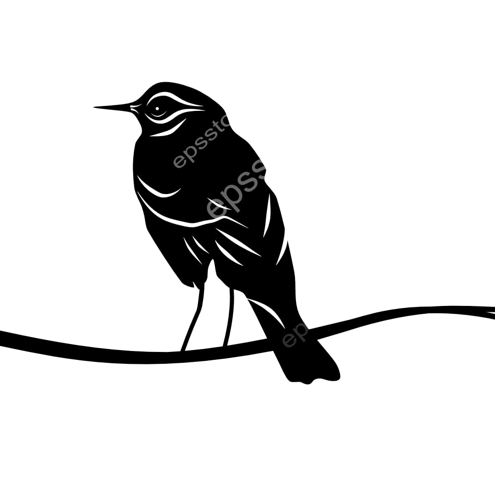 Rufous-webbed Bush bird