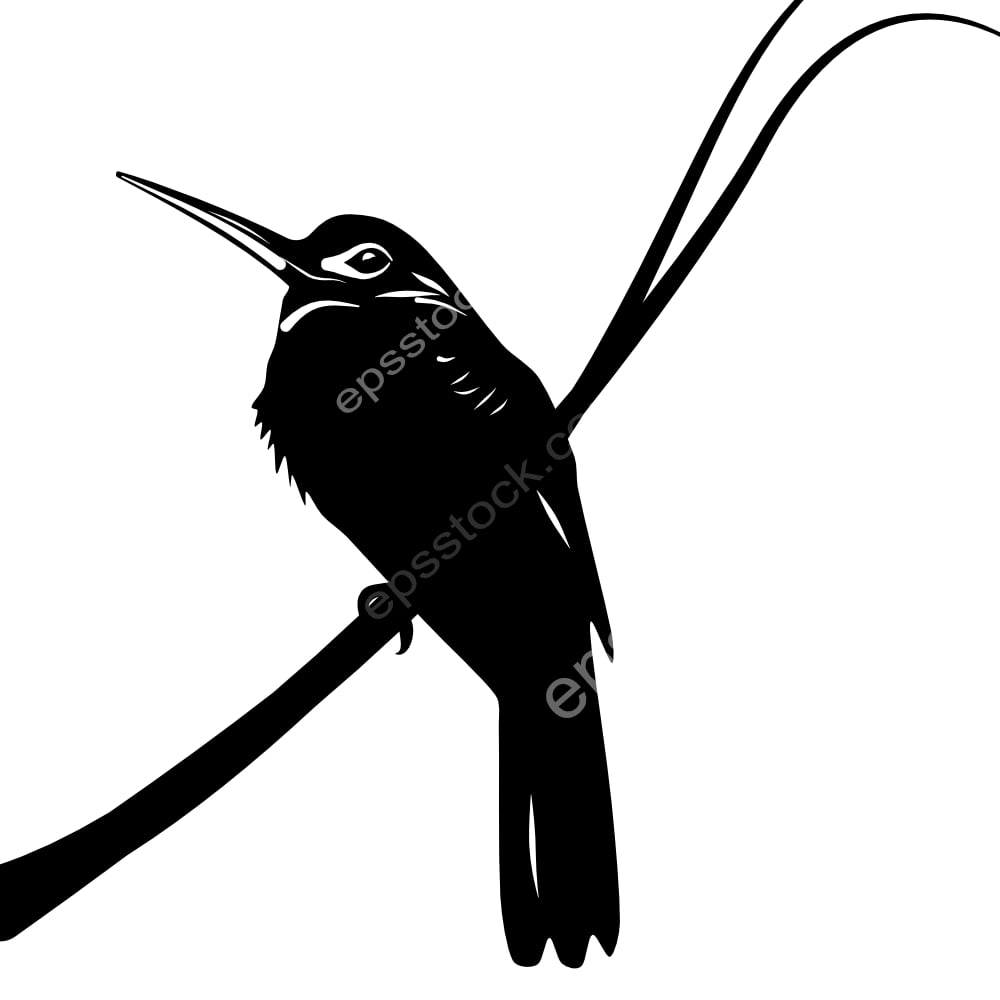 Yellow-billed Jacamar bird