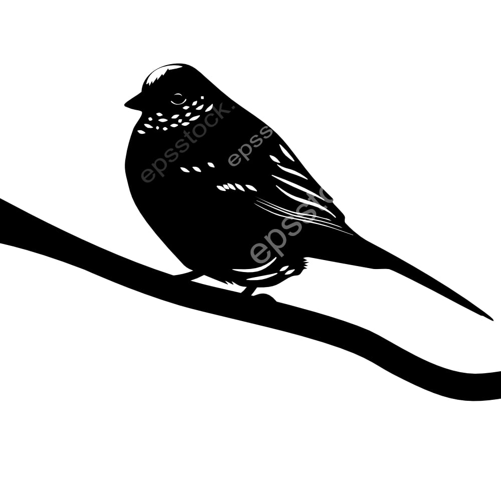 Golden-crowned Sparrow bird