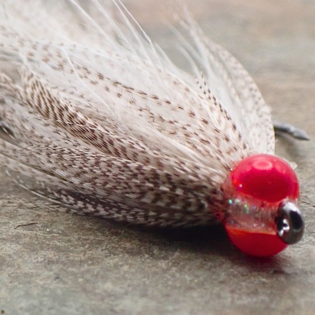 Close-up of the M&M Minnow smallmouth bass streamer fly, custom-tied by The Fly Guy, Matt Campbell.