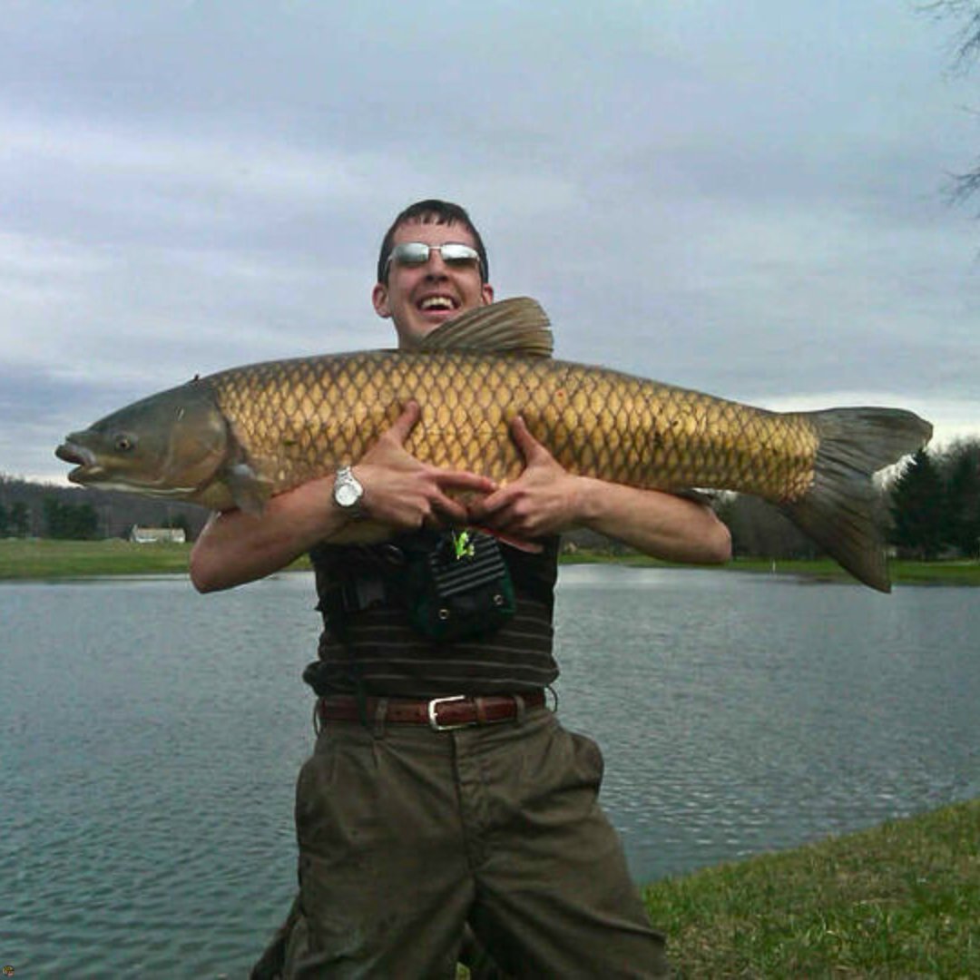 Fly fishing guide Matt Campbell holding a 60-pound grass carp caught while fly fishing a lake in Ohio.