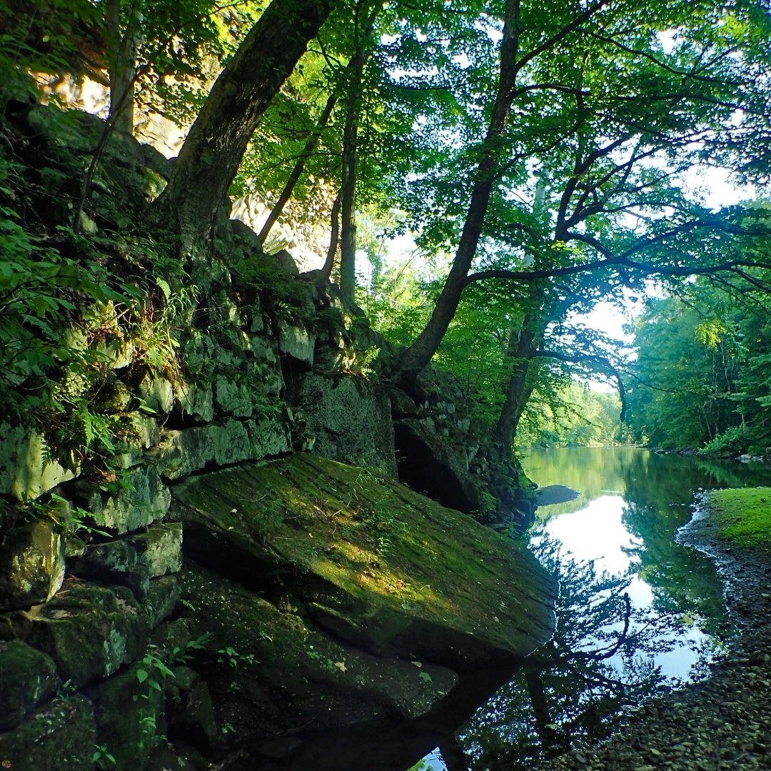Moss-covered stone wall with trees along the Cuyahoga River in Ohio.