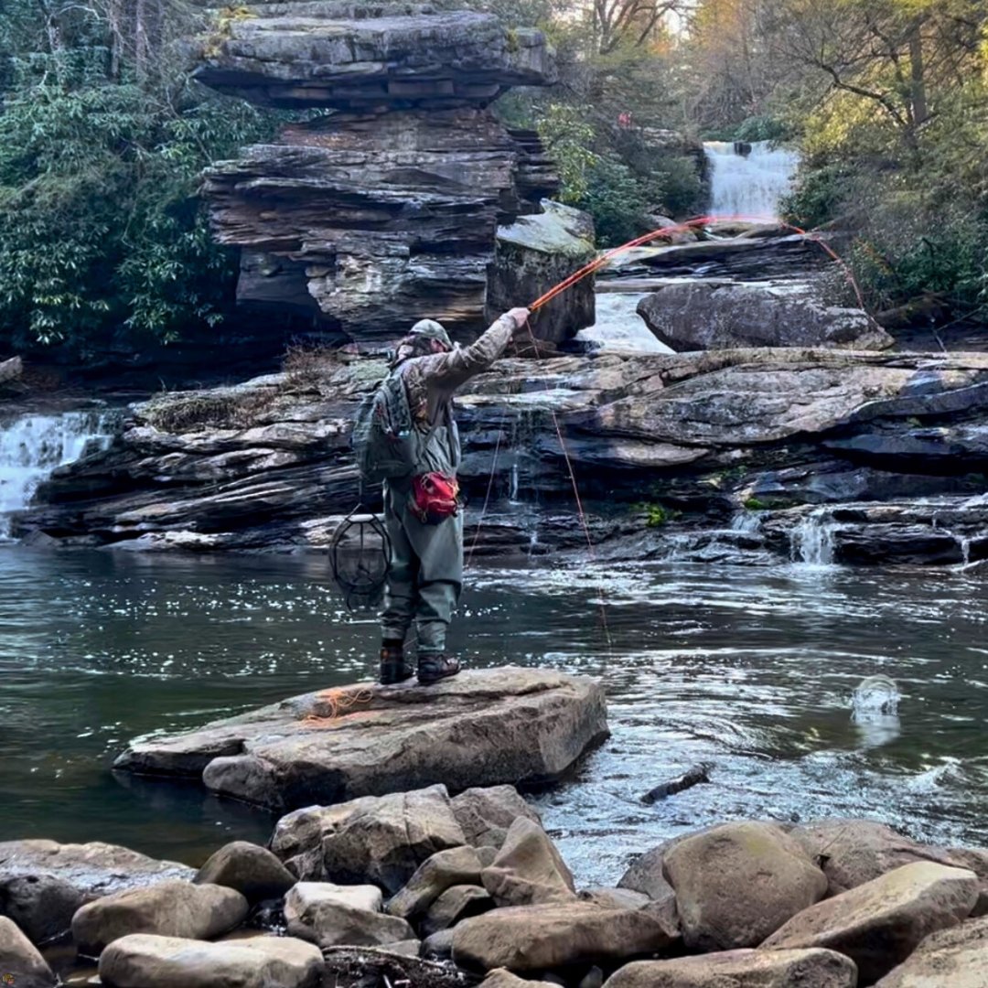 The Fly Guy setting the hook on a rainbow trout below Swallow Falls in Oakland, Maryland.