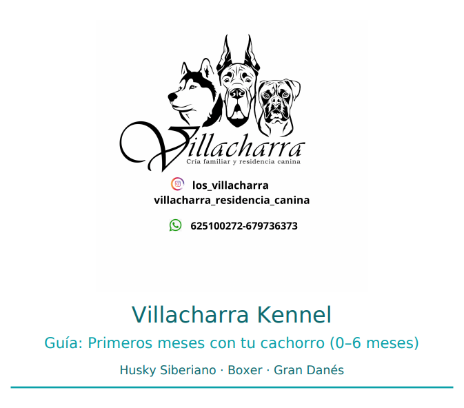Guía cachorro 0–6 meses