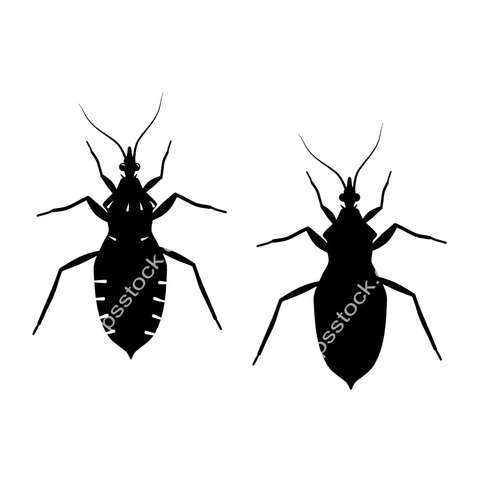 Panstrongylus megistus symbol