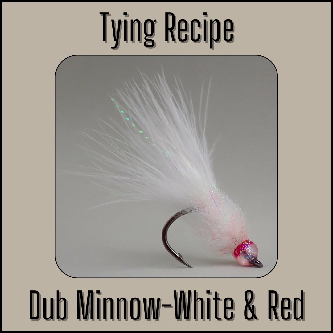 White & red Dub Minnow streamer fly tying recipe by Matt Campbell, The Fly Guy.
