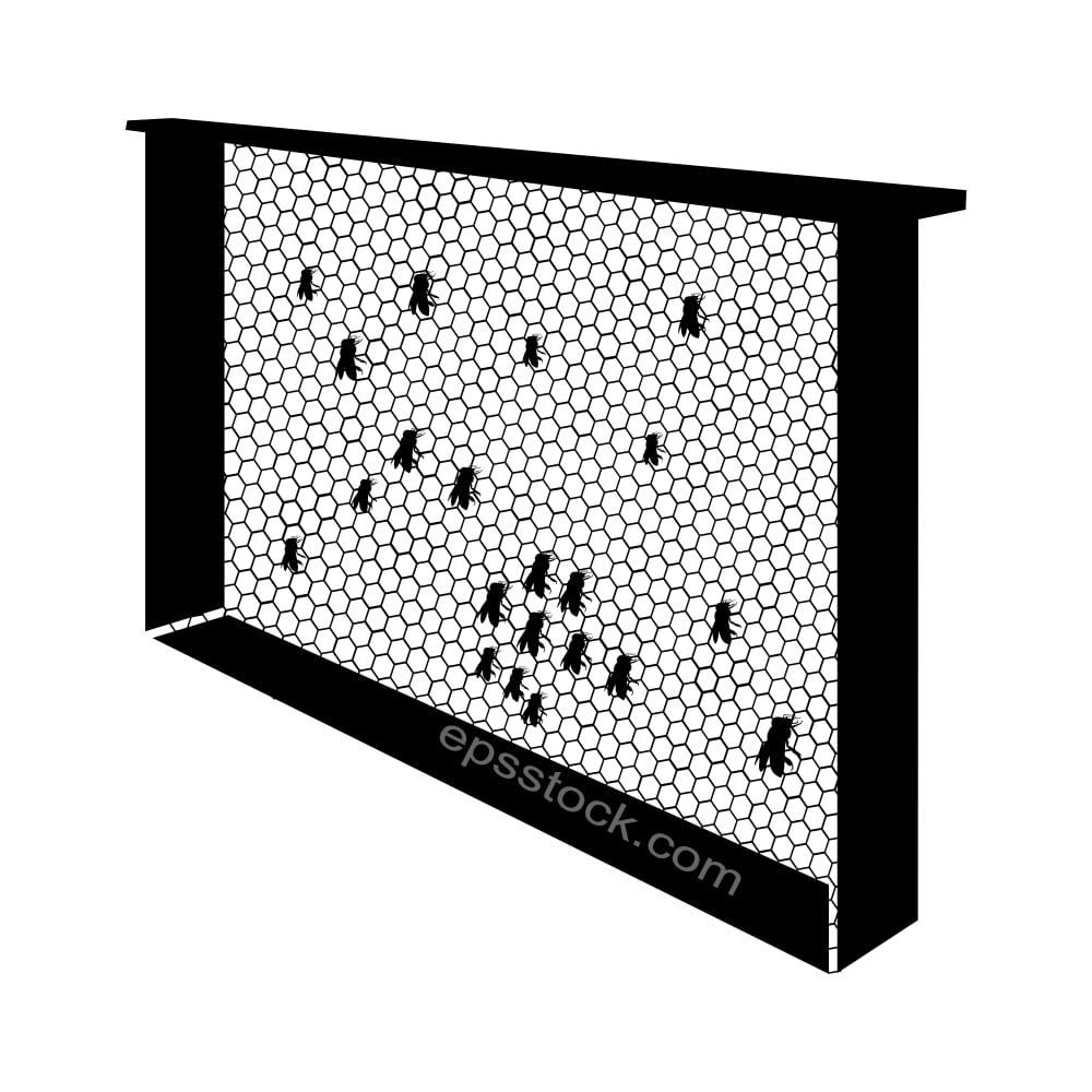 Bee Comb Honey Frame