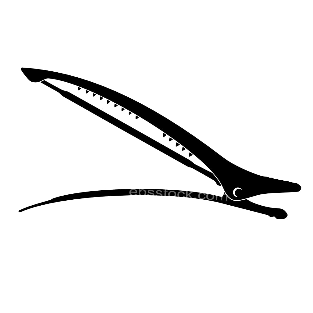 Professional Hair Clip