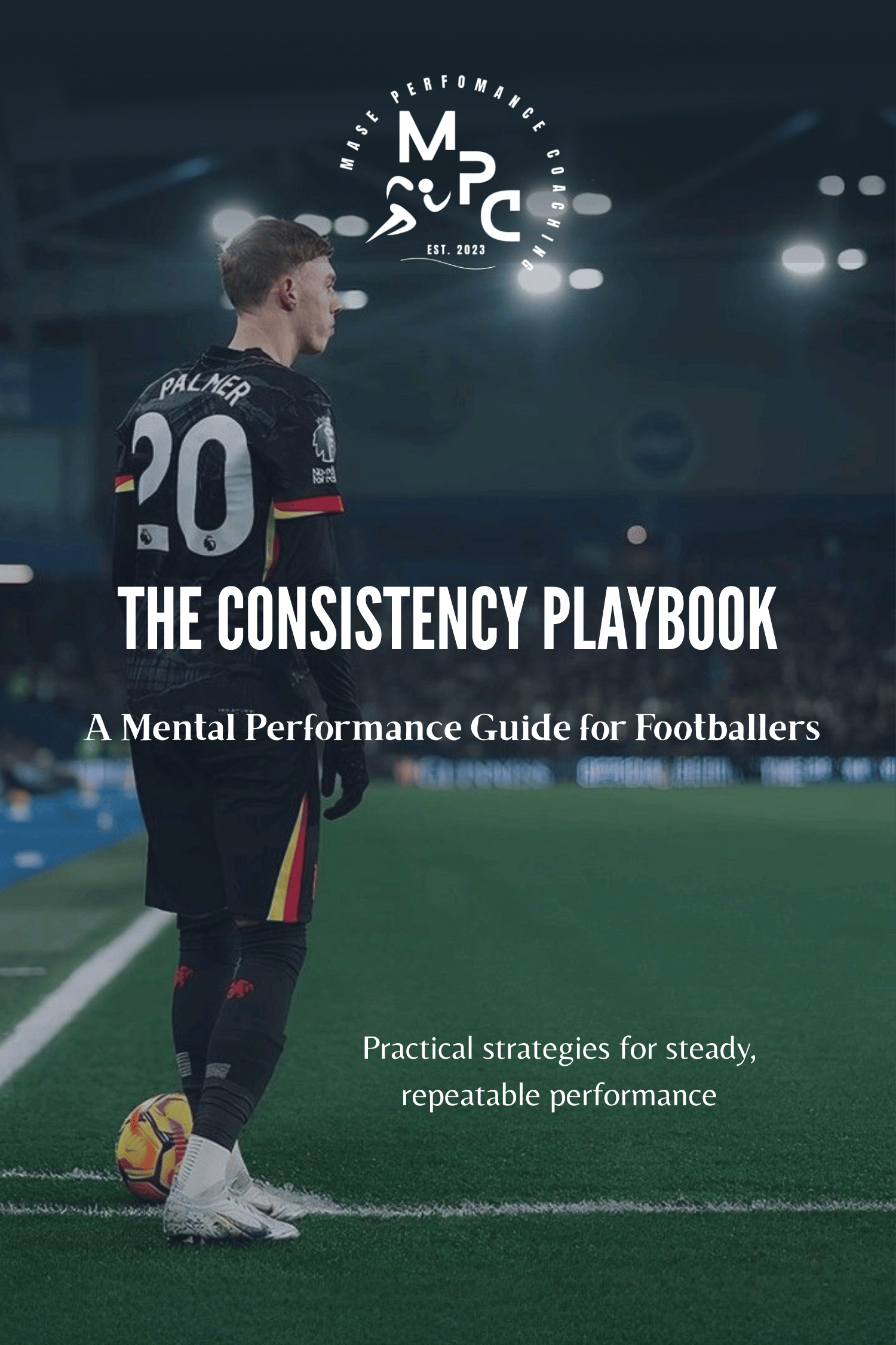 The Consistency Playbook - Payhip