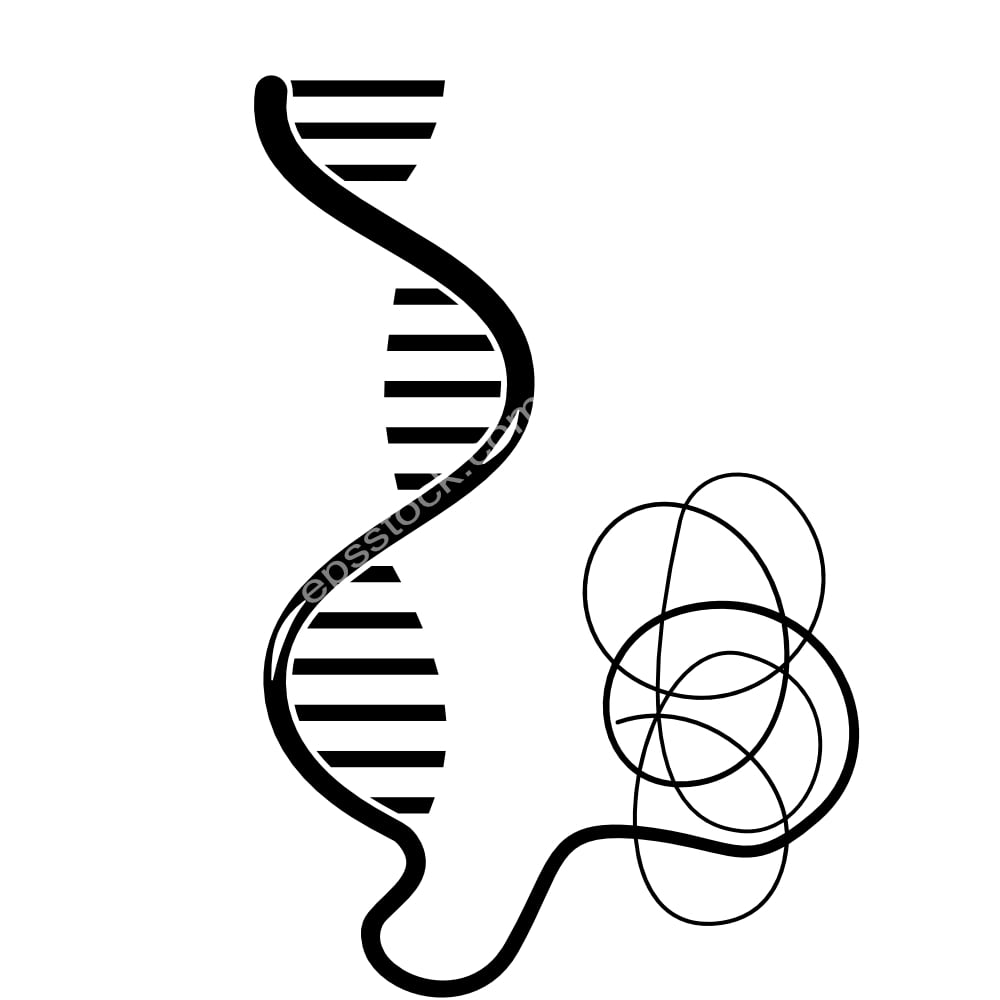 RNA Structure