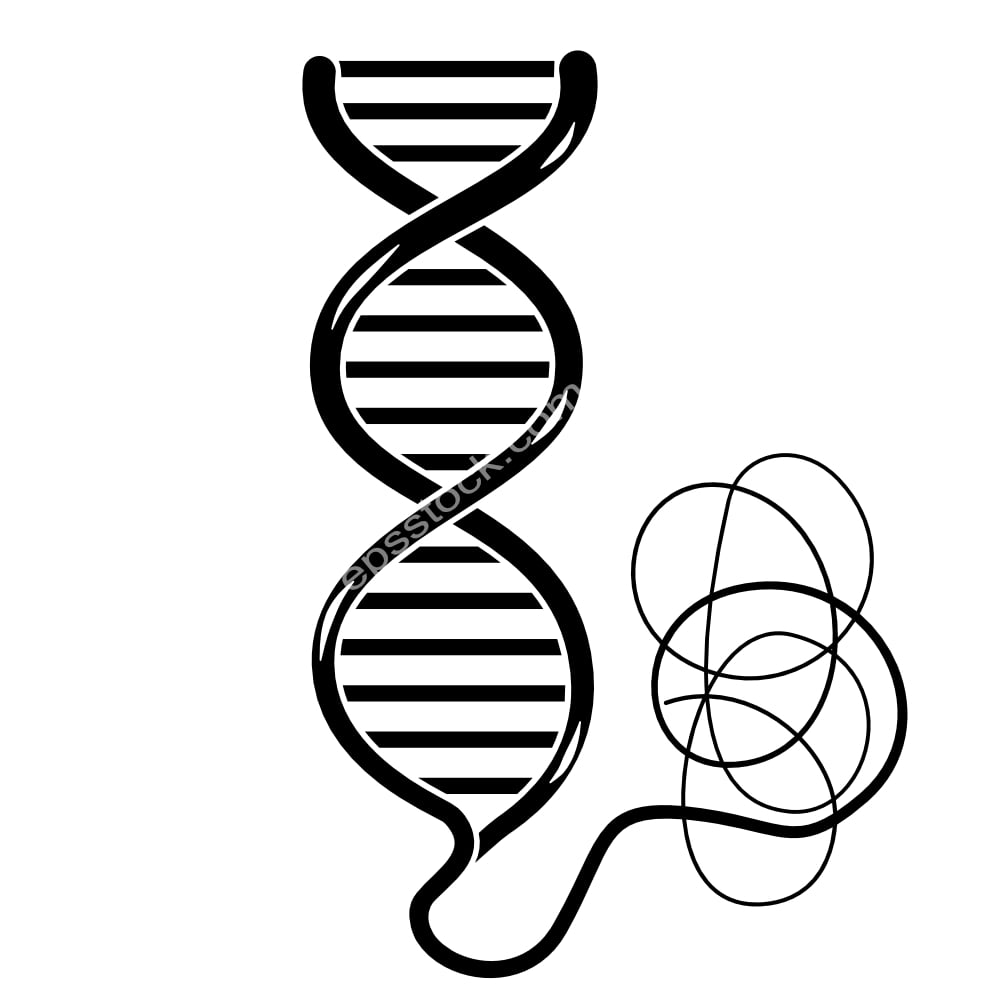 DNA