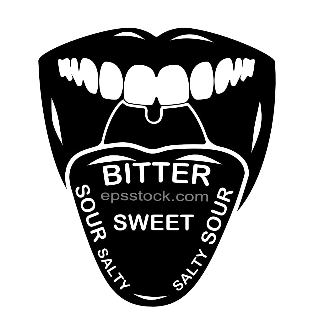 taste buds on human tongue