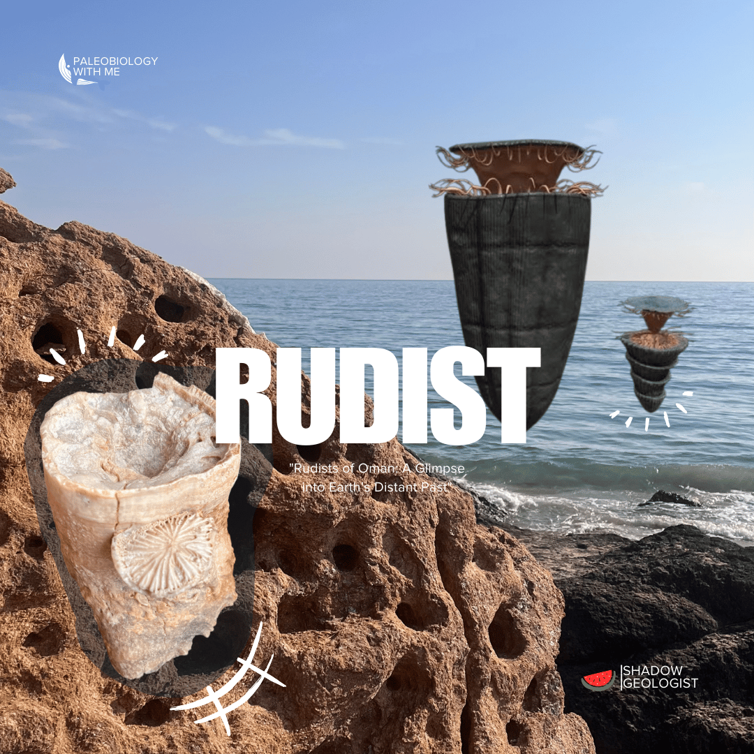 Oman Rudists Rudists – The Reef Builders of the Ancient Seas_ 10 pages - Payhip
