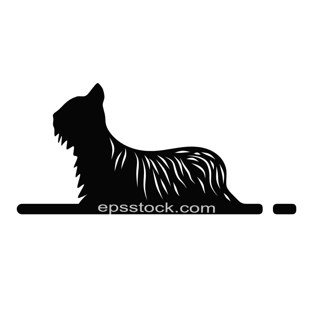 Skye Terrier dog