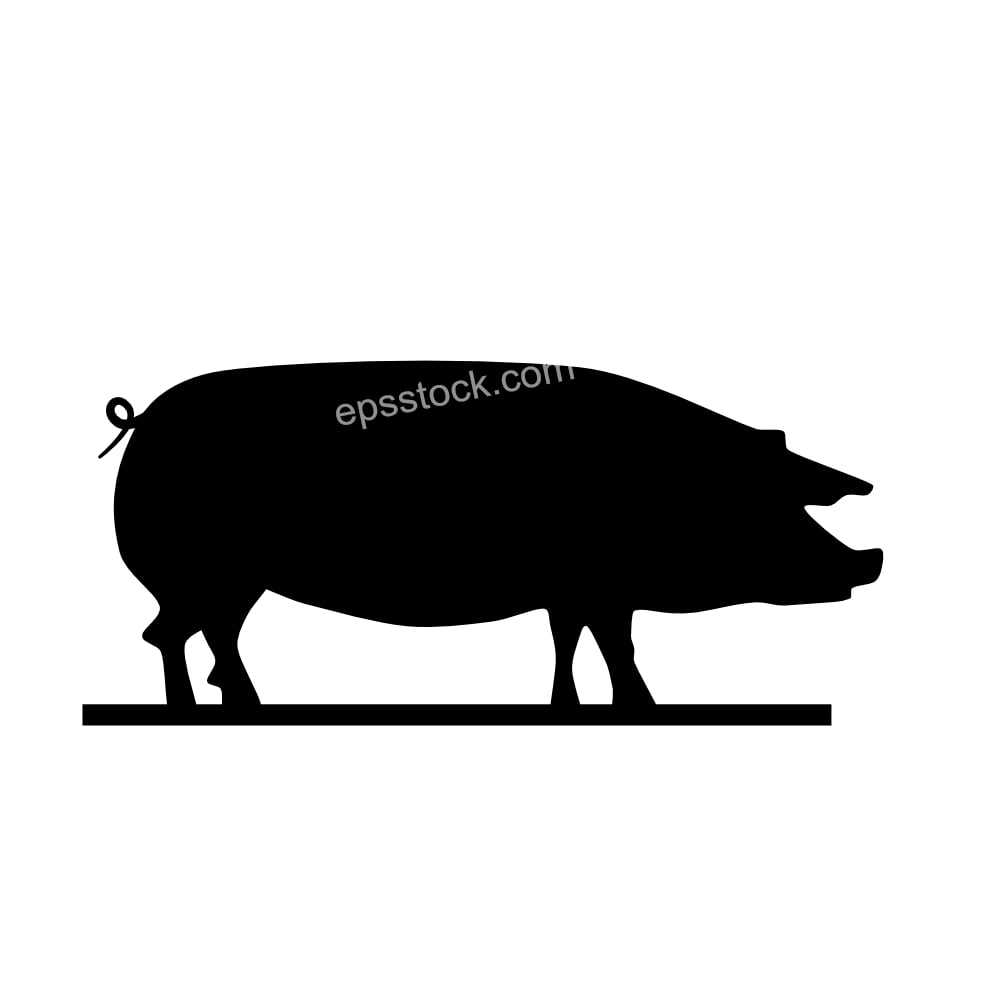 French Landrace pig