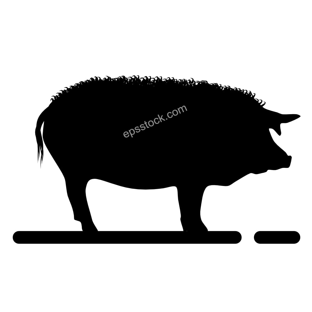 Lincolnshire Curly Coat pig