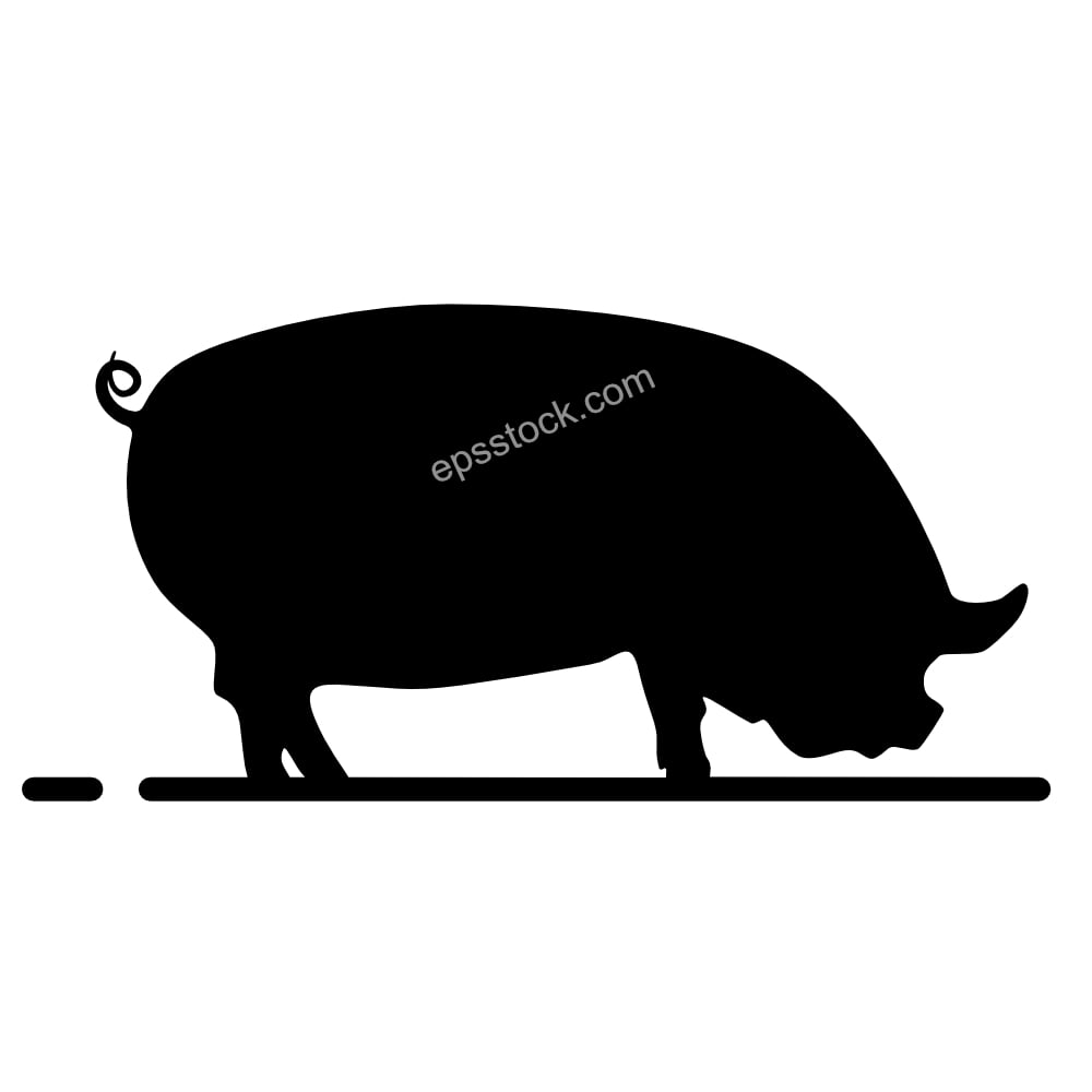 Middle White pig