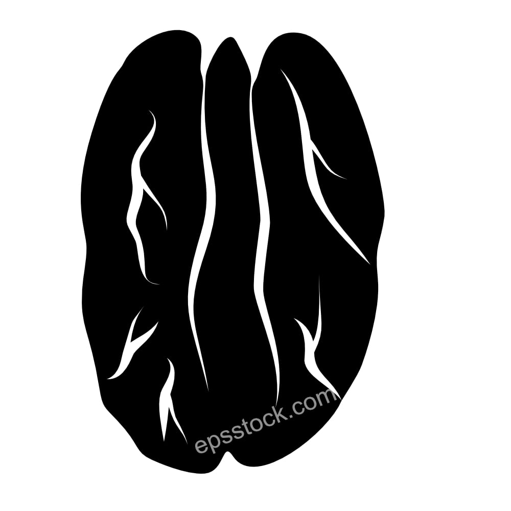 Pecan nut symbol