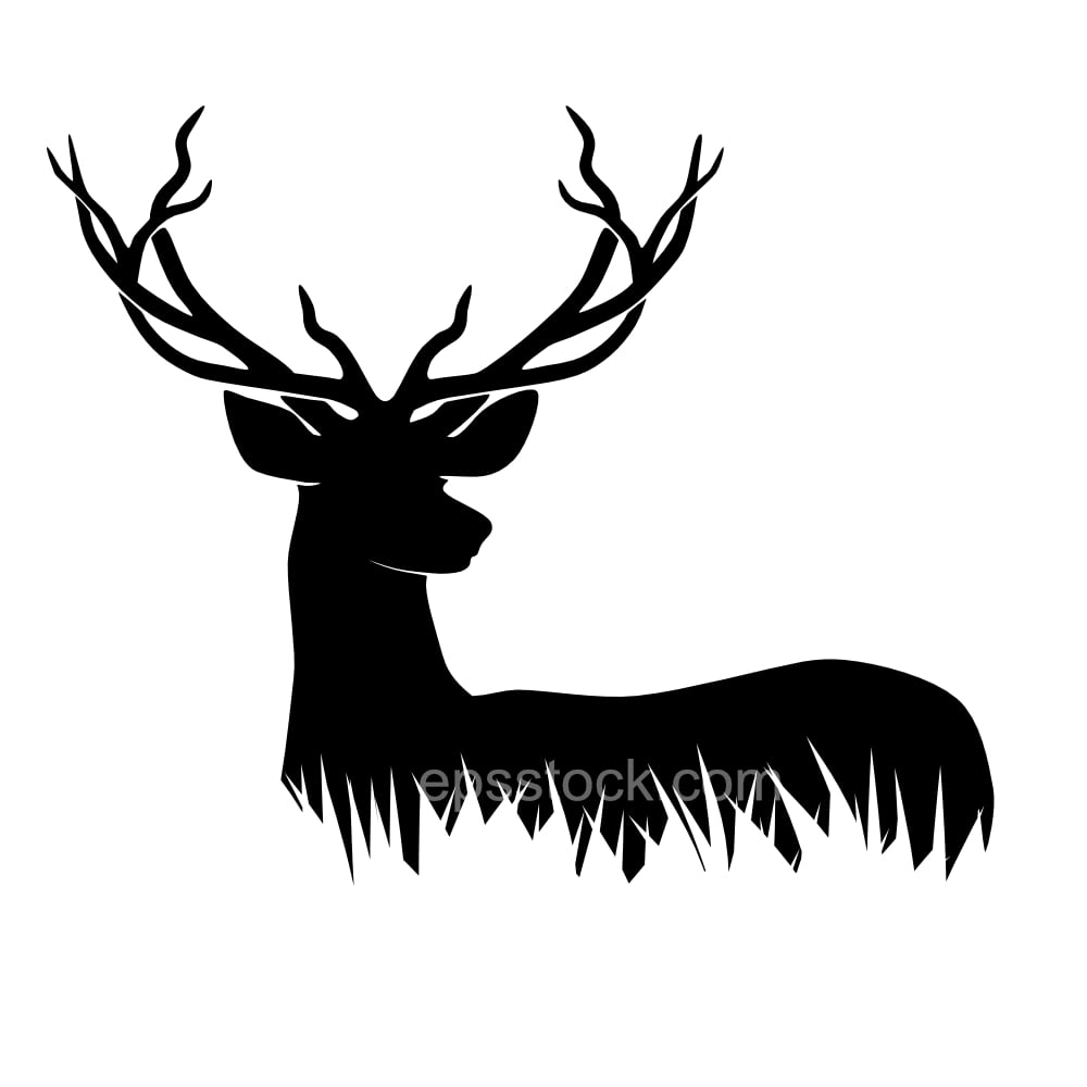 Deer Head In Grass